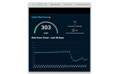 Cerulean Risks Score Trends