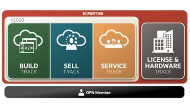 CherryRoad Expertise