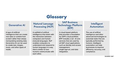 Clarkston Consulting Glossary