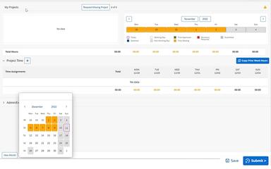 Cognitus Timesheet