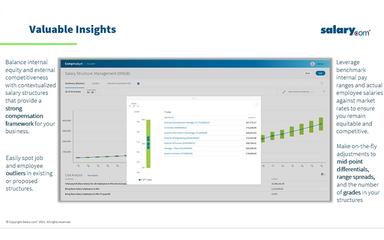 CompAnalyst Valueable Insights