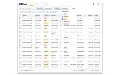 ComplyAdvantage Case Type
