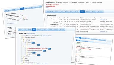 EMR Bear Core Features