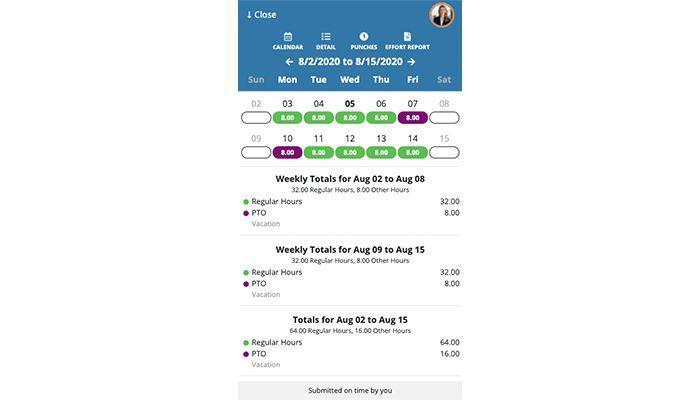 DATIS Payroll mobile app