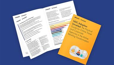 DataArt Navigating NDC Adoption Challenges
