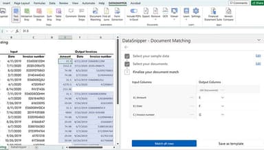 DataSnipper Automatic Match Excel Data