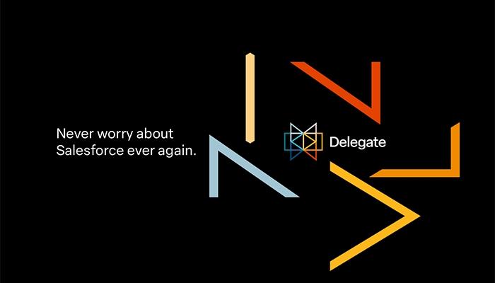 Delegate Salesforce