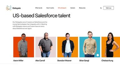 Delegate Salesforce