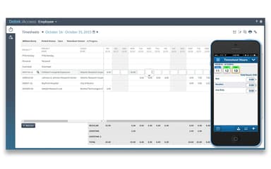 Deltek Vision Mobile Timesheets