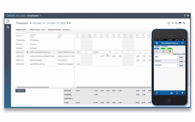 Deltek Vision Mobile Timesheets