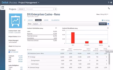 Deltek Vision Project Planning