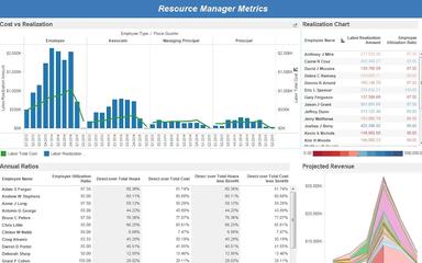 Deltek Vision Resource Manager Metrics