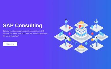 Denken Solutions SAP Consulting