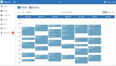 Dentem Agenda View