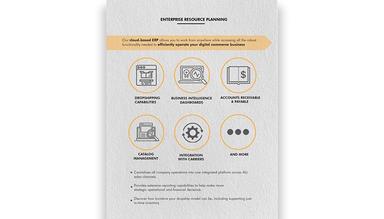 DigitBridge Enterprise Resource Planning