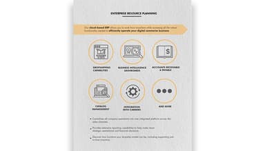 DigitBridge Enterprise Resource Planning