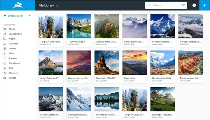 Directus Software file library
