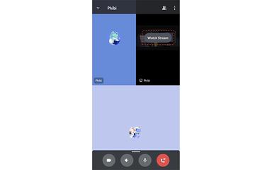 Discord Screen Sharing