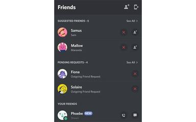 Discord Search Feature