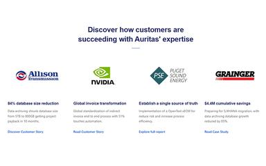 Auritas Customers Success