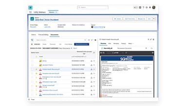 Documents are easily accessible from within a matter plan and Litify lets you automatic