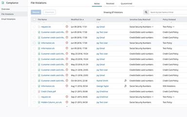 Druva File Violations