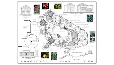 DynaSCAPE Landscape Plan View