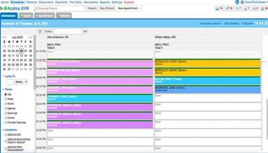 Easy to use drag and drop scheduler in Azalea's Practice Management application