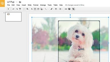 Edit Images Miadria