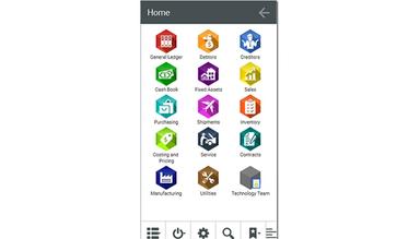 Embrace ERP Home View
