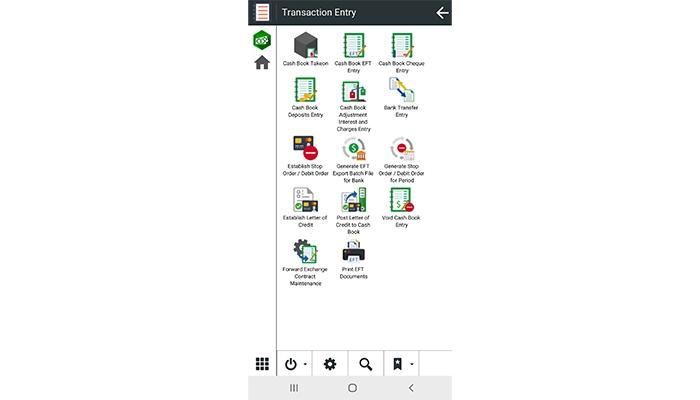 Embrace ERP Transaction Entry Management