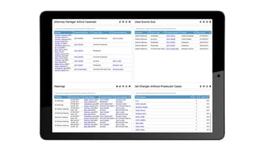 Enterprise Case Manager Software Tyler Technologies