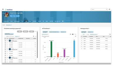 Excelforce Time Dashboard