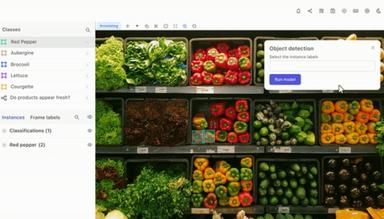 Encord Object Detection