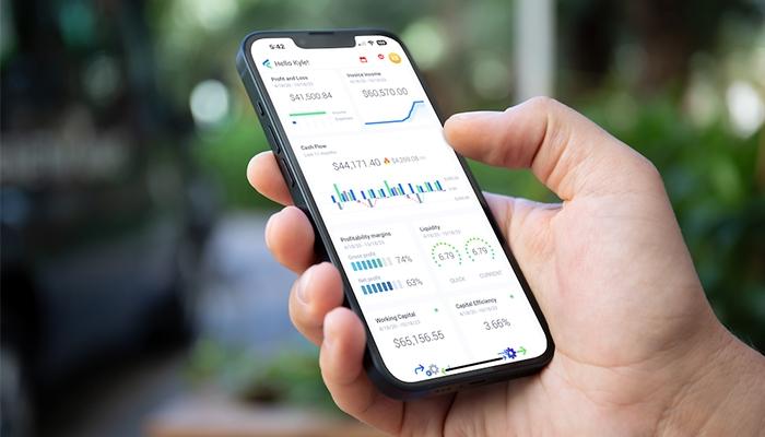 Financial dashboard mobile