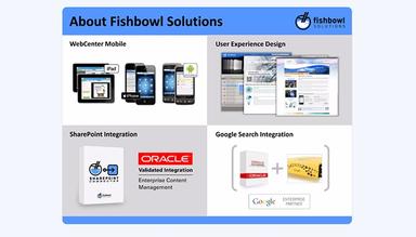 Fishbowl Solutions About Section