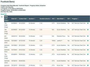 Foothold Custom Reports