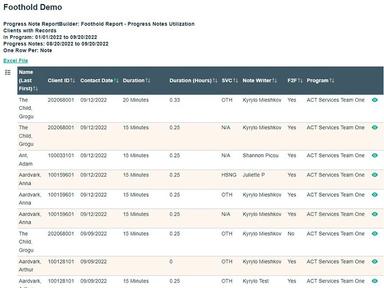 Foothold Custom Reports