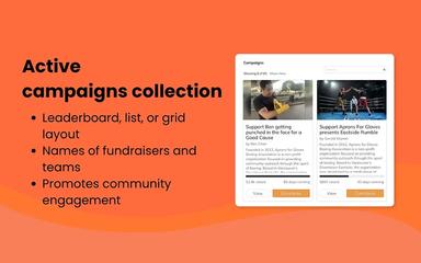 FundRazr Activity Campaigns Collection