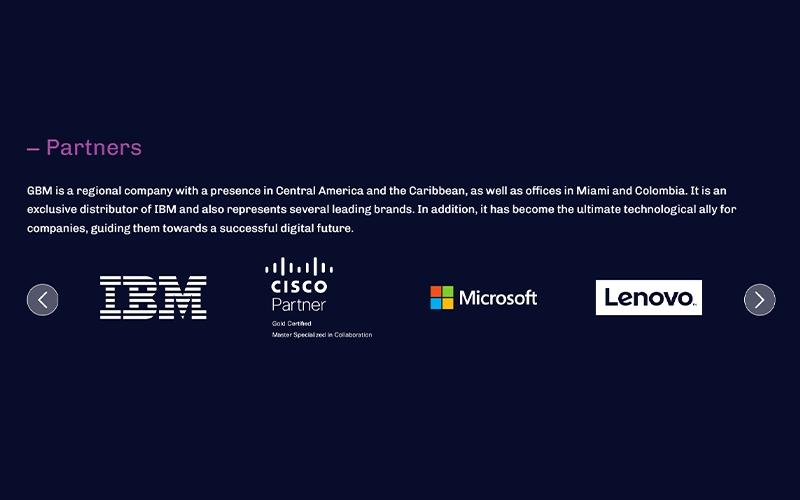 GBM Consulting Partners