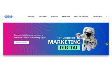 GBM Consulting Home Page