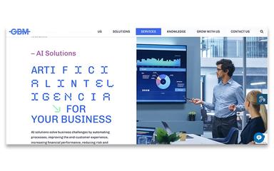 GBM Consulting Services