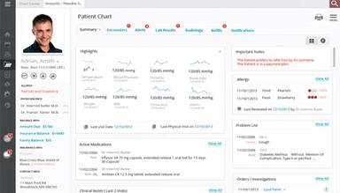 GlaceEMR Patient Chart