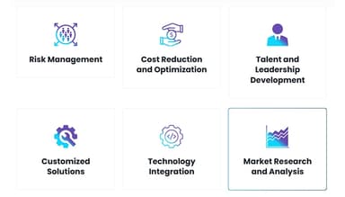 The Management Consulting Services Haya Solutions