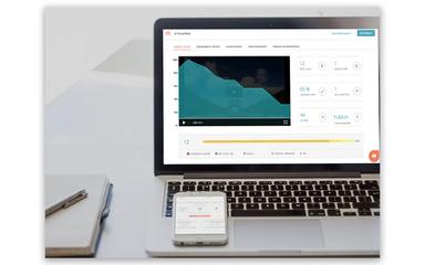 Hippo Video Graph Analysis