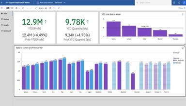 IBM Business Analytics
