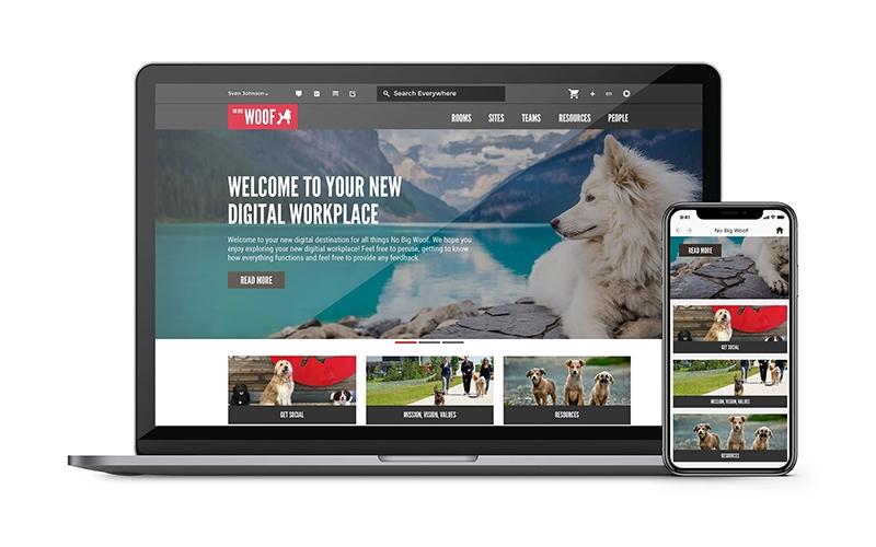 Igloo Website Mockup No Big Woof