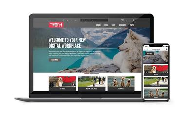Igloo Website Mockup No Big Woof