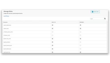 Imagility Role Management System