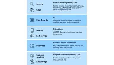 Infosys Consulting Implementation Services